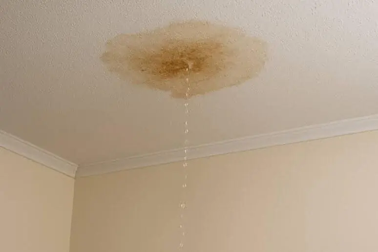 Ceiling water leak detection in Los Angeles
