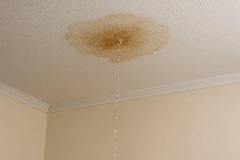 Ceiling water leak detection in Glendale
